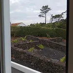 Dream View In Pico * Criacao Velha