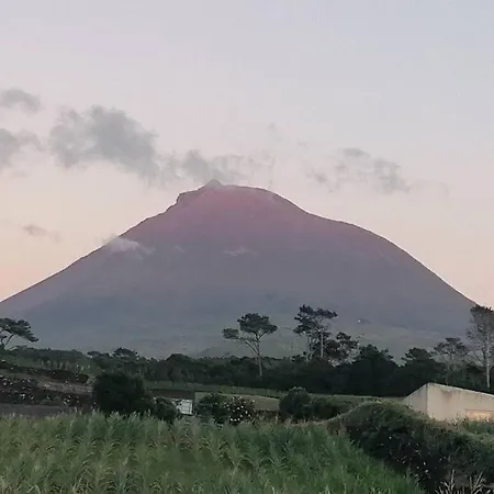 Casa de Férias Dream View In Pico Criacao Velha