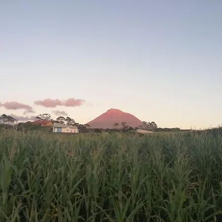 بيت للعطل Dream View In Pico *