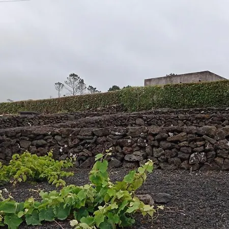 Dream View In Pico بيت للعطل Criacao Velha