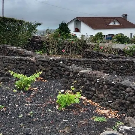 بيت للعطل Dream View In Pico Criacao Velha