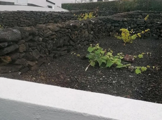 Dream View In Pico 別荘 *