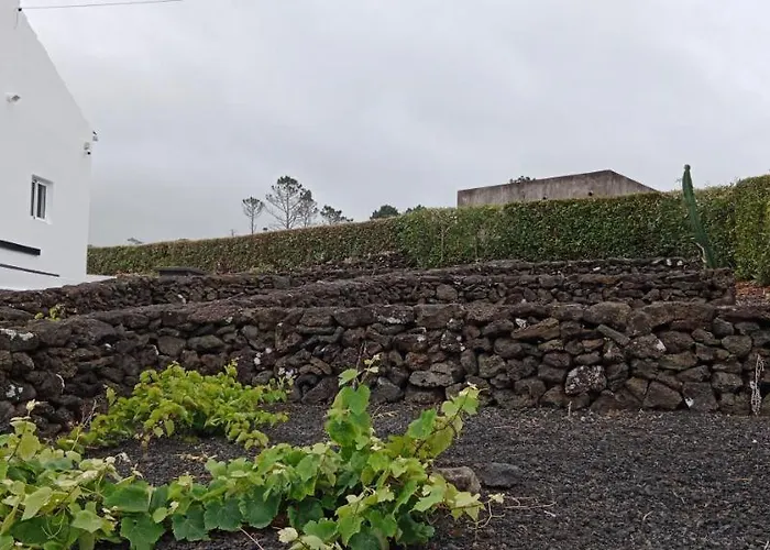 Dream View In Pico Casa de Férias Criacao Velha