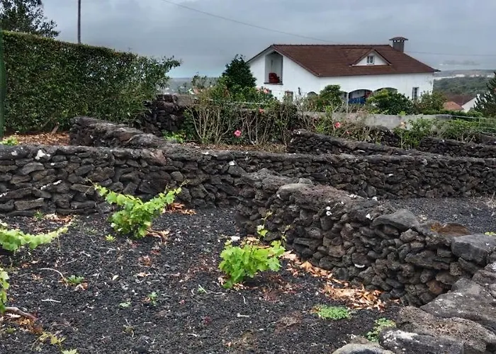 Casa de Férias Dream View In Pico Criacao Velha