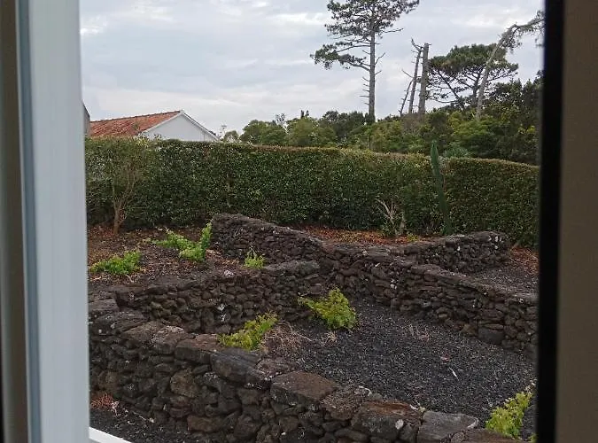 Dream View In Pico * Criação Velha